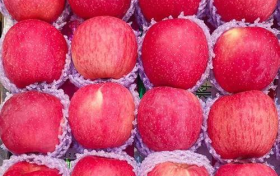 探寻美味之源 — 红富士苹果产地揭秘